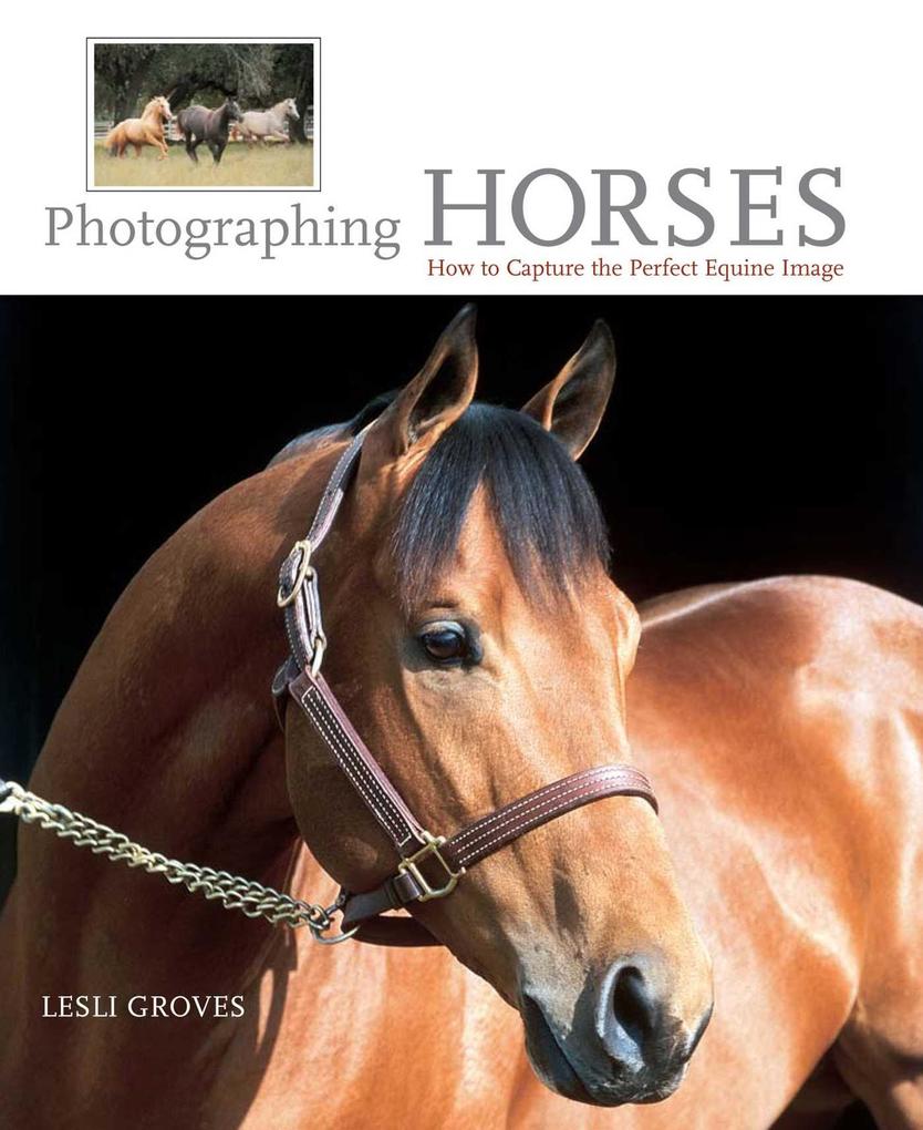 Produktbild: Photographing Horses | Lesli Groves