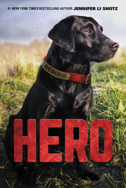 Produktbild: Hero | Jennifer Li Shotz