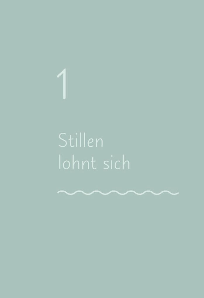 Weitere Ansicht: Das Stillbuch | Hannah Lothrop