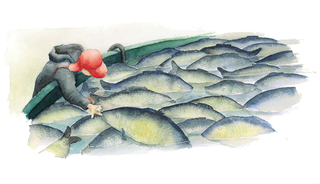 Weitere Ansicht: Der Weihnachtskarpfen | Rita Törnqvist-Verschuur