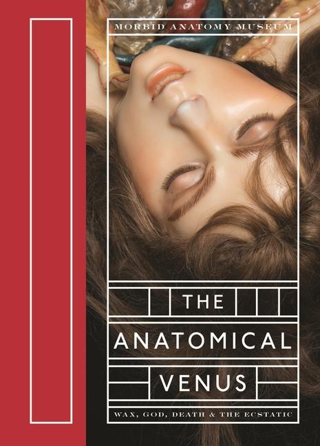 Produktbild: The Anatomical Venus | Joanna Ebenstein