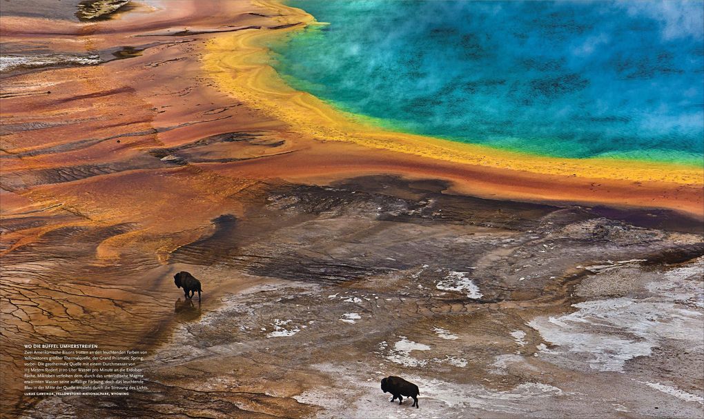 Weitere Ansicht: NATIONAL GEOGRAPHIC | Susan Tyler Hitchcock