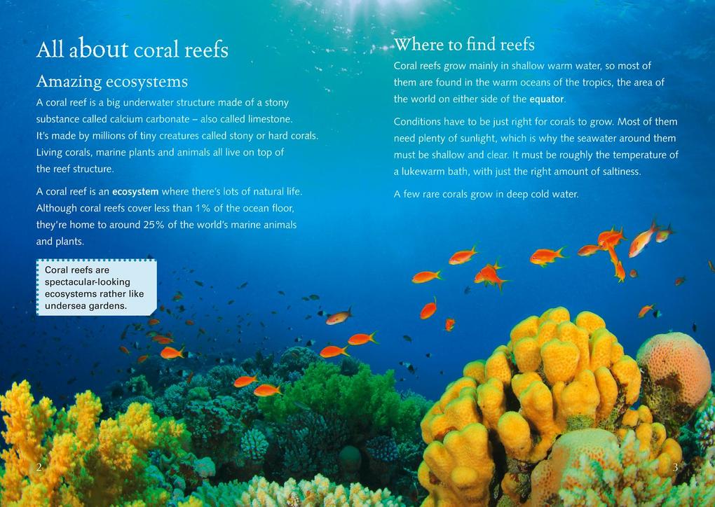 Weitere Ansicht: Coral Reefs | Moira Butterfield