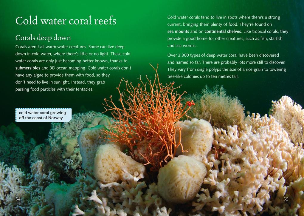 Weitere Ansicht: Coral Reefs | Moira Butterfield