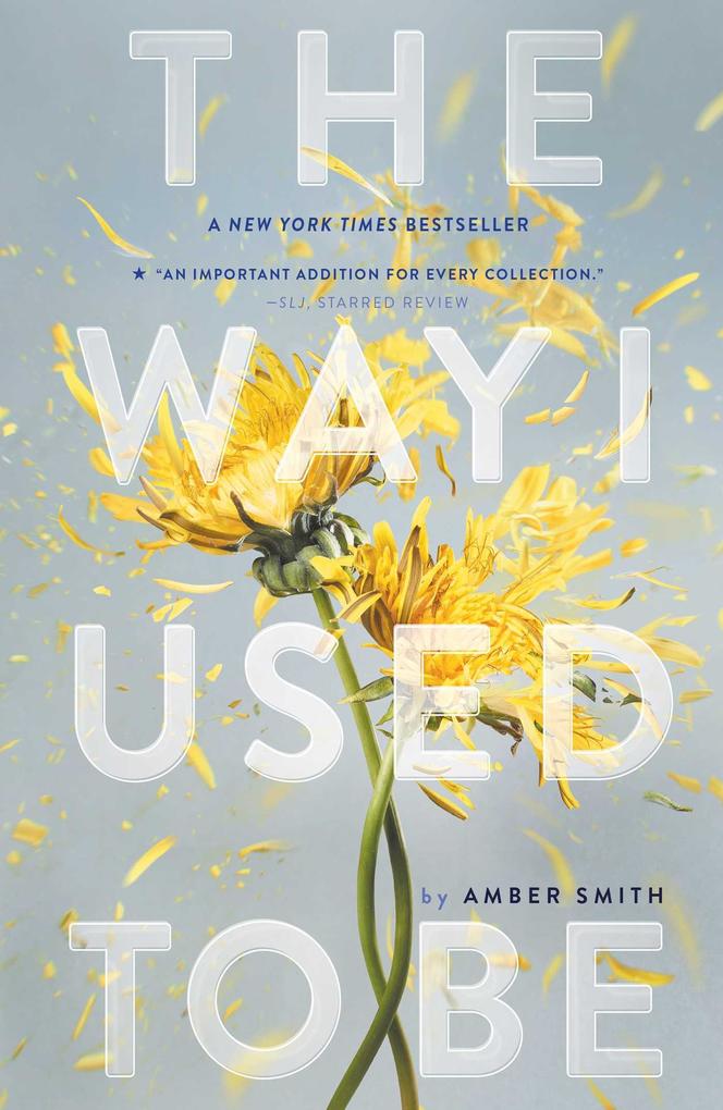 Weitere Ansicht: The Way I Used to Be | Amber Smith