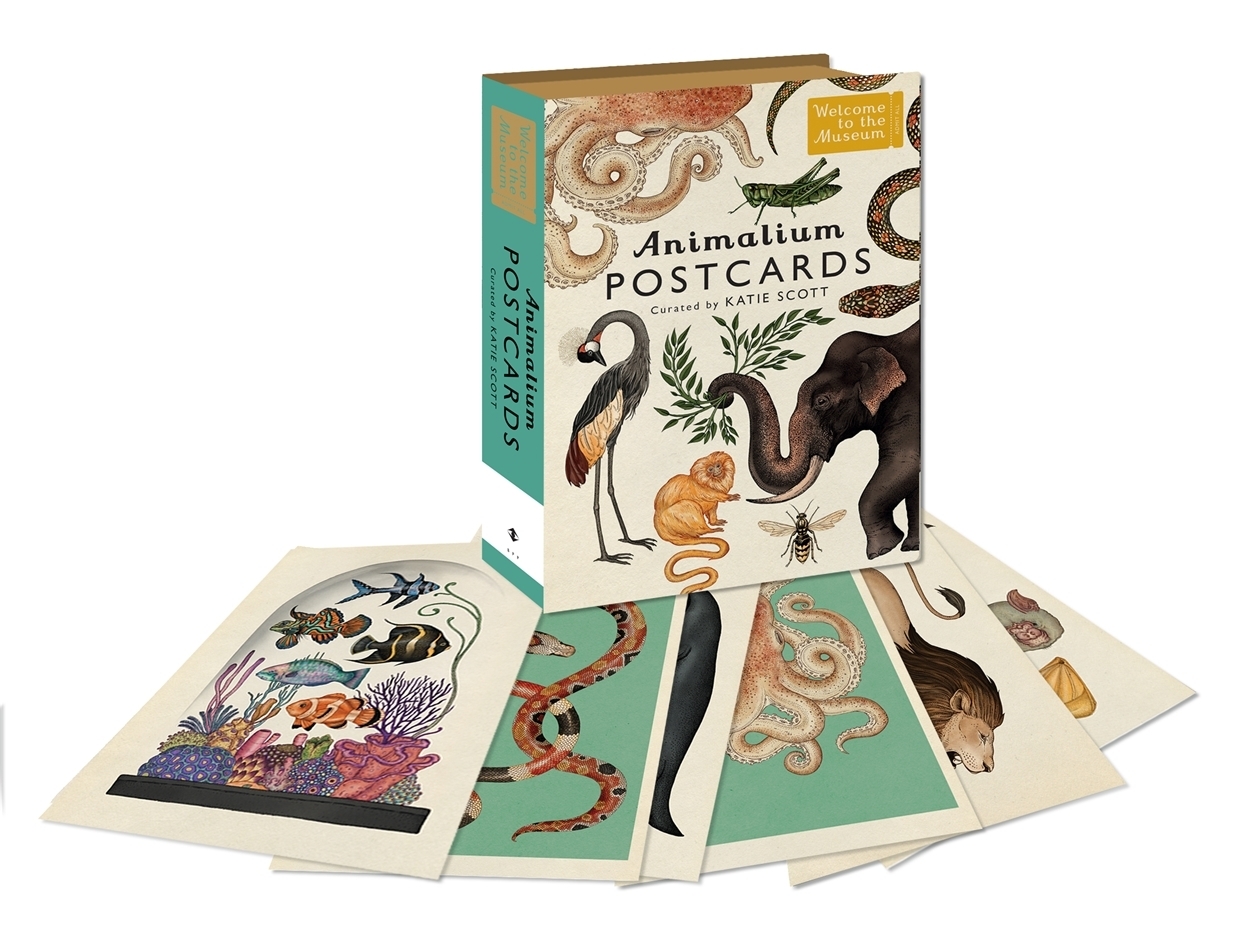 Produktbild: Animalium Postcards