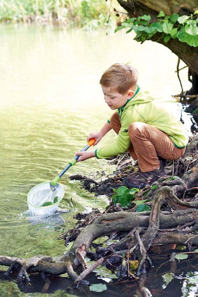 Weitere Ansicht: HABA - Terra Kids - Forschen und Entdecken - Kescher