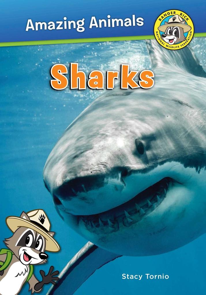 Produktbild: Sharks | Stacy Tornio