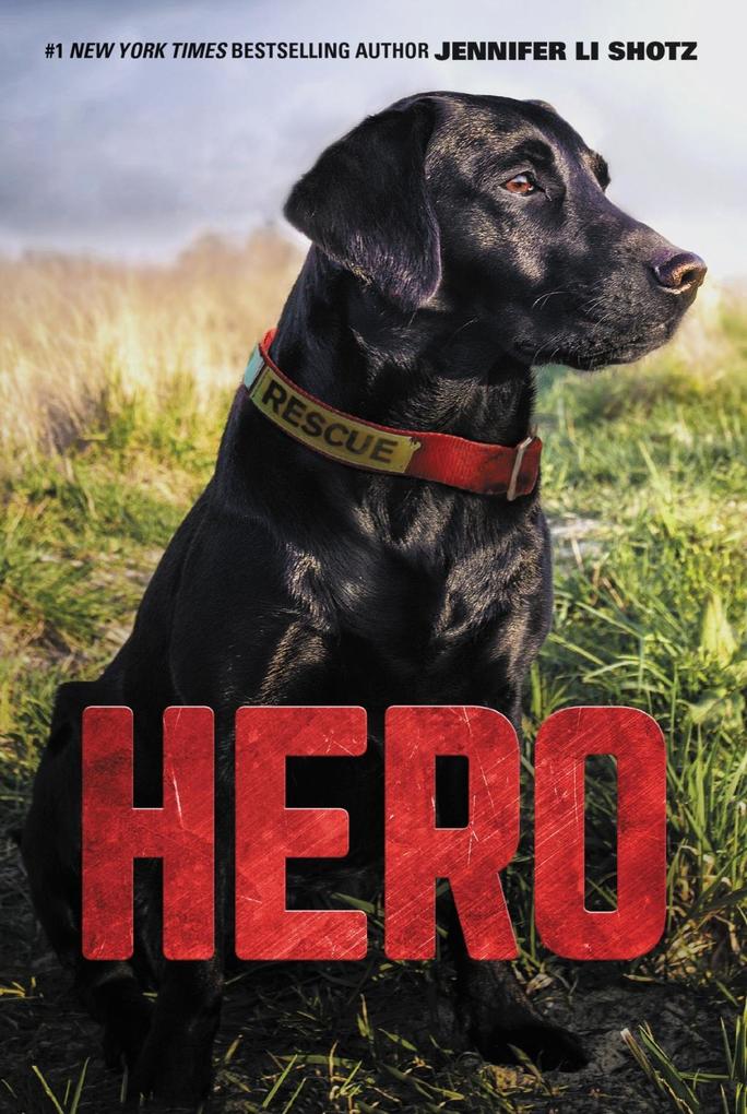Produktbild: Hero | Jennifer Li Shotz