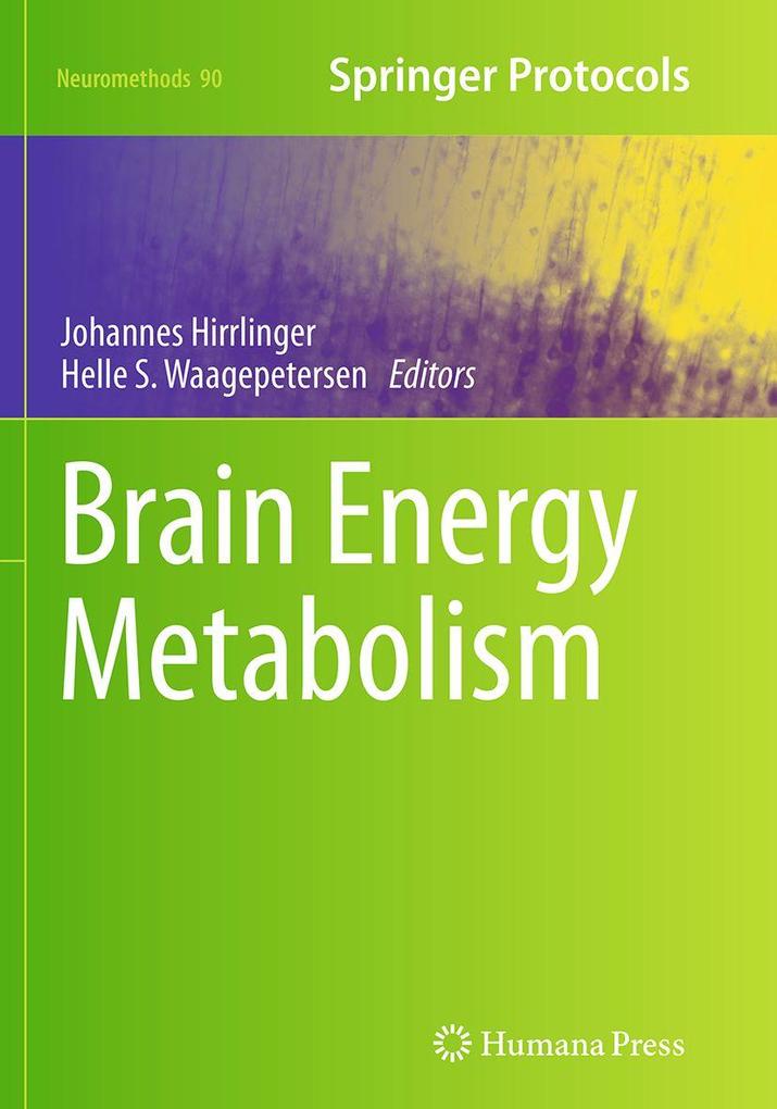 Produktbild: Brain Energy Metabolism