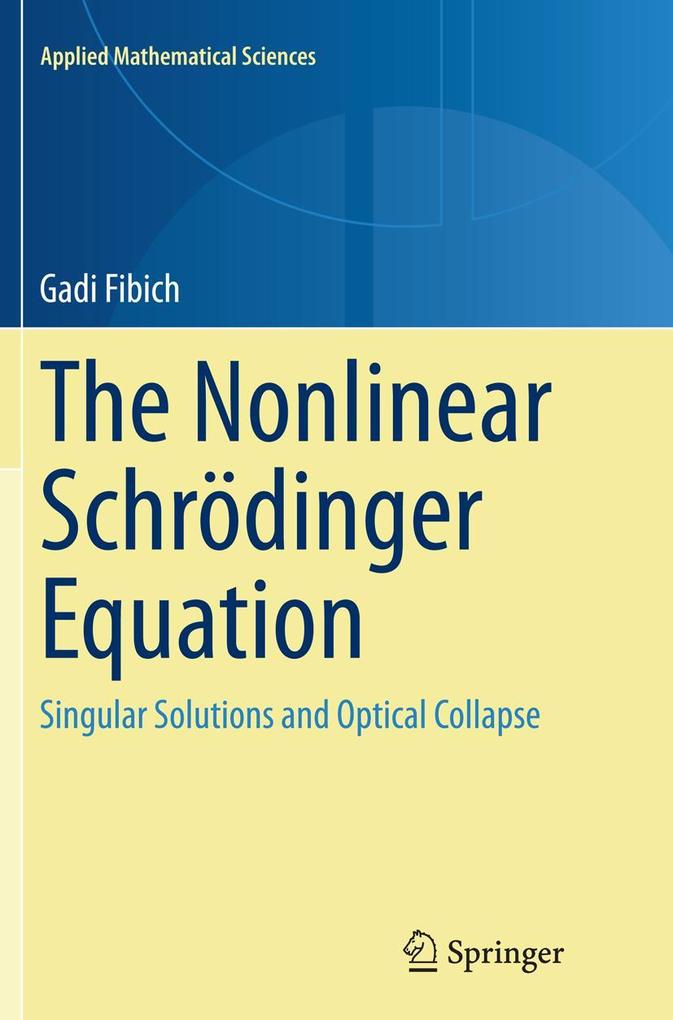 Produktbild: The Nonlinear Schrödinger Equation | Gadi Fibich