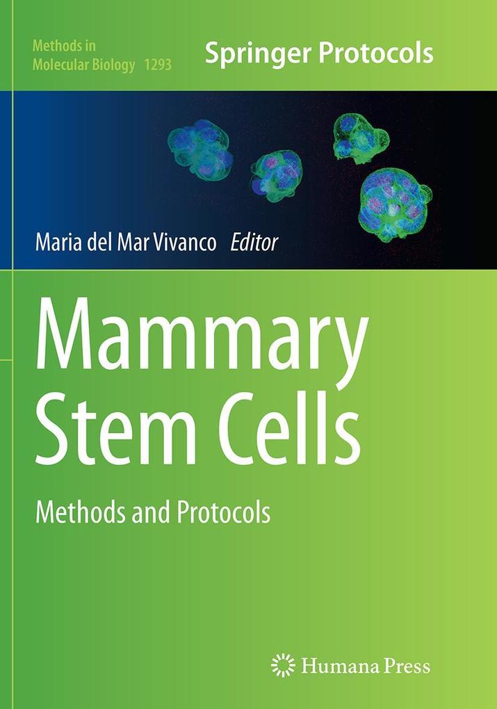 Produktbild: Mammary Stem Cells
