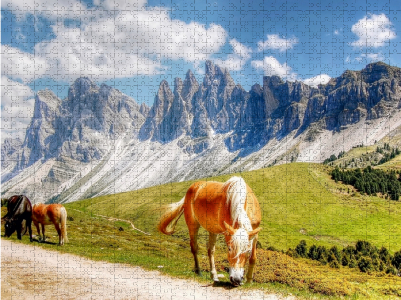 Weitere Ansicht: Geisler Spitzen - Sas Rigais und Furchetta - Nordwände - Villnößtal - 3025 Hm (Puzzle) | Uwe Vahle