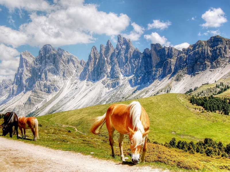 Weitere Ansicht: Geisler Spitzen - Sas Rigais und Furchetta - Nordwände - Villnößtal - 3025 Hm (Puzzle) | Uwe Vahle