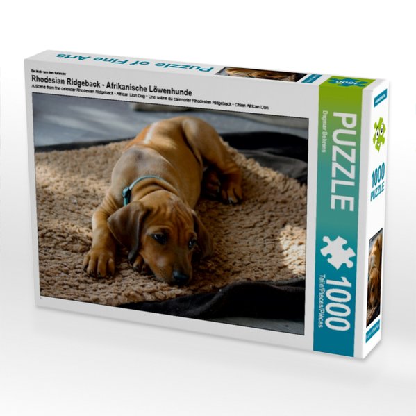 Produktbild: Rhodesian Ridgeback, afrikanischer Löwenhund Hündin, 1000 Teile | Dagmar Behrens