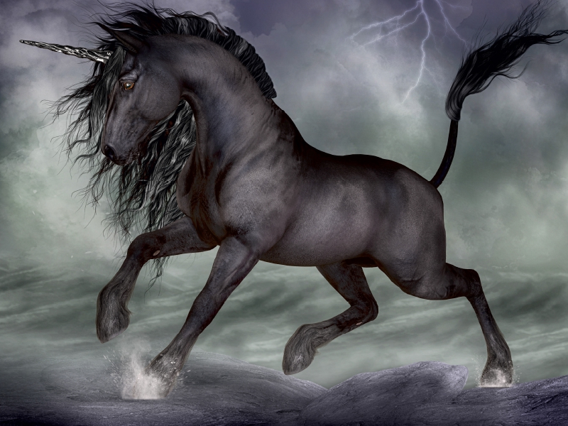 Weitere Ansicht: Sturmbringer (Puzzle) | Andrea Tiettje