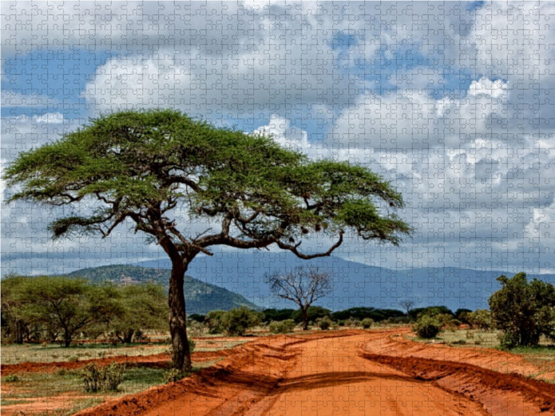 Weitere Ansicht: Tsavo Ost Nationalpark (Puzzle) | Susan Michel / CH