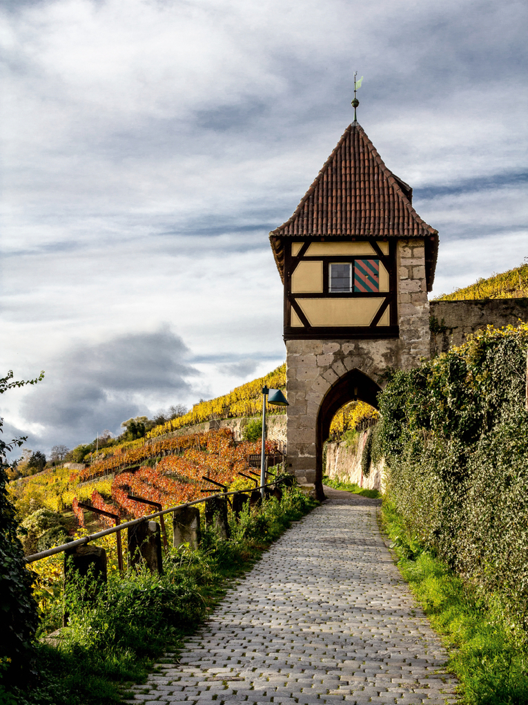 Weitere Ansicht: CALVENDO Puzzle Esslingen am Neckar 1000 Teile Lege-Größe 48 x 64 cm Foto-Puzzle Bild von Horst Eise | Calvendo
