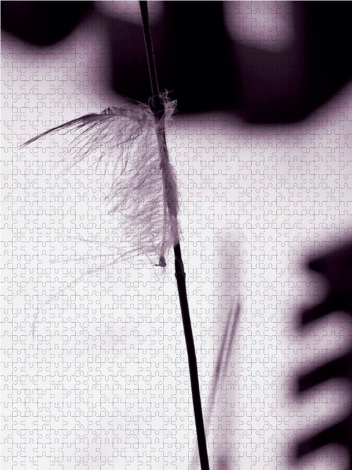 Weitere Ansicht: Ikebana (Puzzle) | Martina Marten