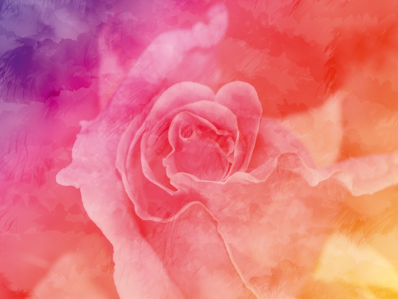 Weitere Ansicht: Bunte Rose (Puzzle) | Melanie Viola
