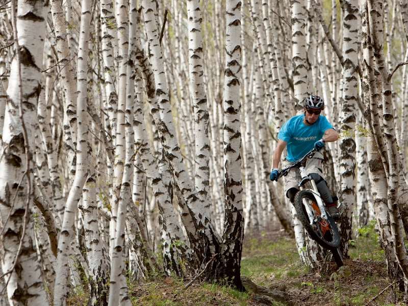 Weitere Ansicht: Birkenbiker (Puzzle) | Franz Faltermaier