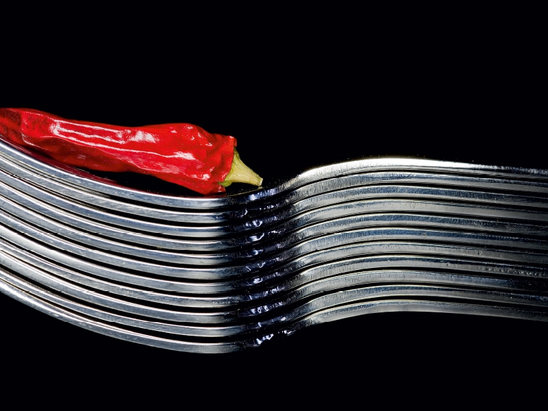 Weitere Ansicht: Scharf gebettet (Puzzle) | Helmut Probst