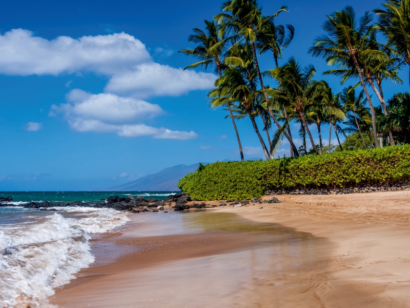 Weitere Ansicht: Kihei Beach (Puzzle) | Thomas Klinder