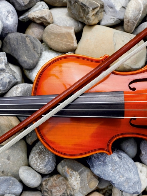 Weitere Ansicht: Violine mit Bogen (Puzzle) | Anette Jäger