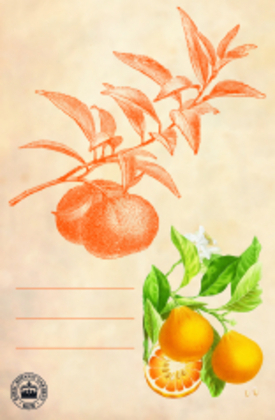 Weitere Ansicht: Kew Gardens - Pflanzkärtchen für das Gartenbeet