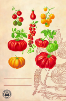 Weitere Ansicht: Kew Gardens - Pflanzkärtchen für das Gartenbeet