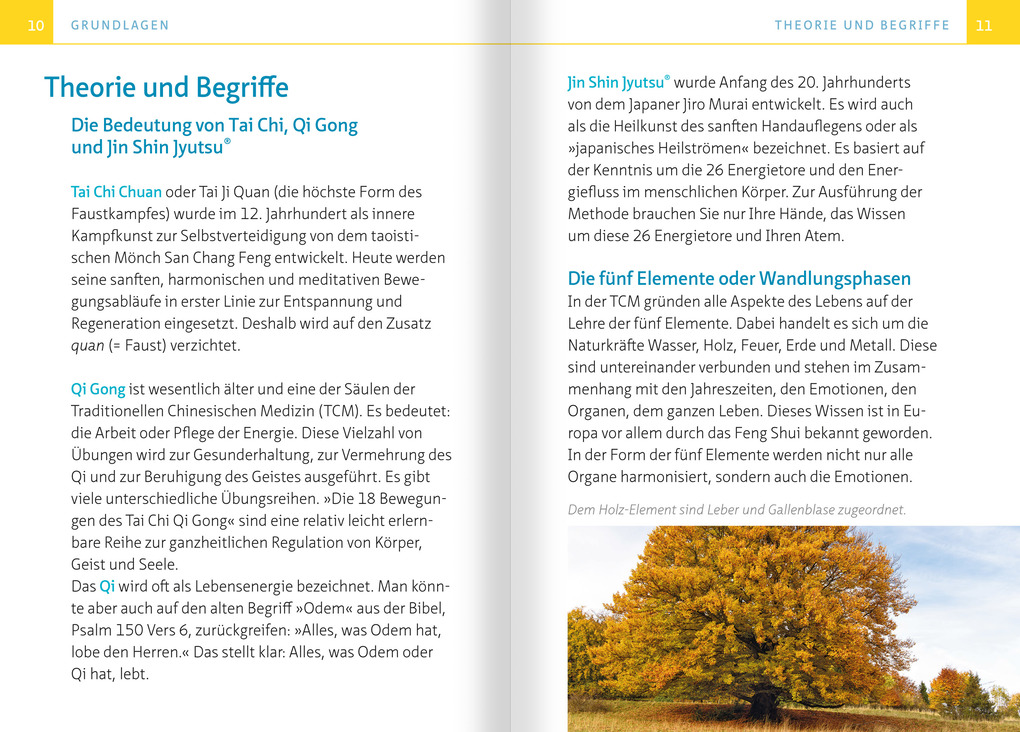Weitere Ansicht: Tai Chi für zwischendurch. Kompakt-Ratgeber | Barbara Reik