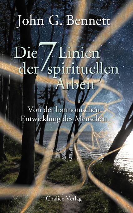 Die sieben Linien der spirituellen Arbeit als Buch (kartoniert)