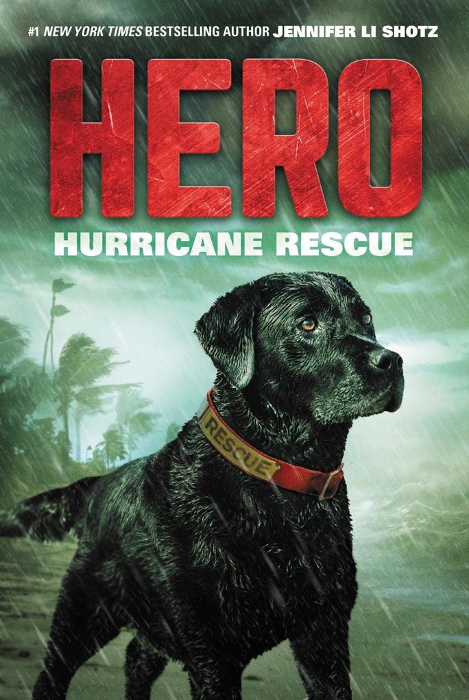 Produktbild: Hero: Hurricane Rescue | Jennifer Li Shotz