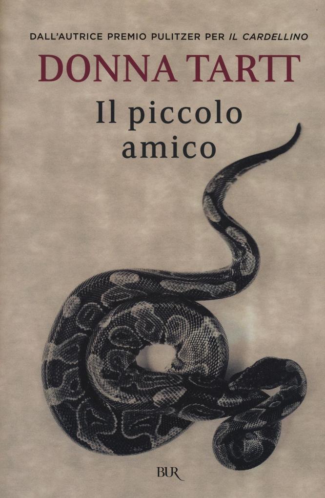 Produktbild: Il piccolo amico | Donna Tartt