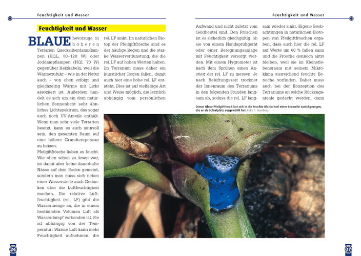 Weitere Ansicht: Der Blaue Pfeilgiftfrosch | Tobias Eisenberg