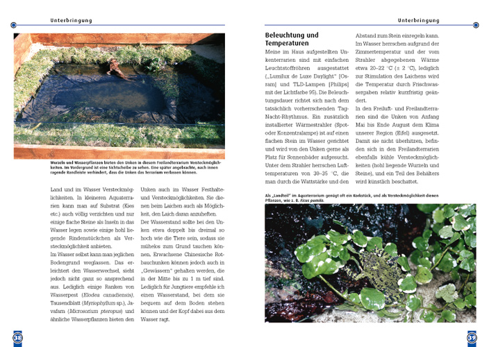 Weitere Ansicht: Die Chinesische Rotbauchunke | Manfred Rogner