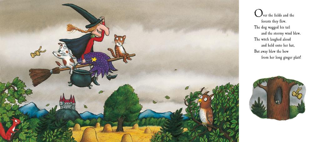 Weitere Ansicht: Room on the Broom | Julia Donaldson