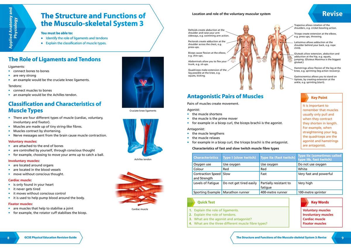 Weitere Ansicht: GCSE 9-1 Physical Education All-in-One Complete Revision and Practice | Collins GCSE