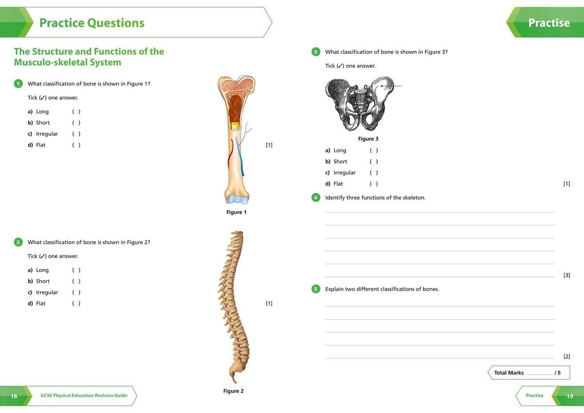 Weitere Ansicht: GCSE 9-1 Physical Education All-in-One Complete Revision and Practice | Collins GCSE