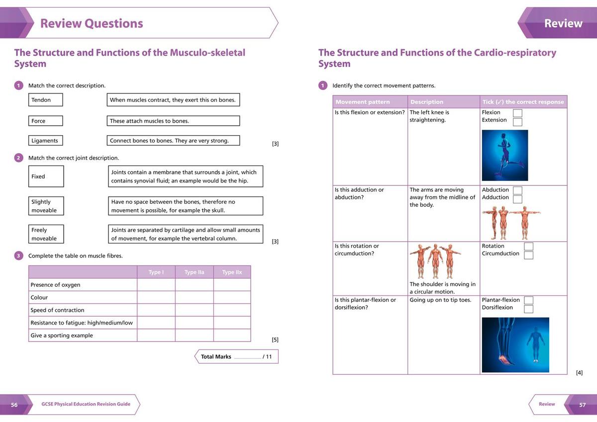 Weitere Ansicht: GCSE 9-1 Physical Education All-in-One Complete Revision and Practice | Collins GCSE