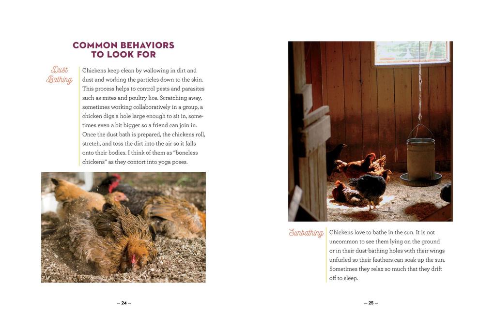Weitere Ansicht: How to Speak Chicken | Melissa Caughey