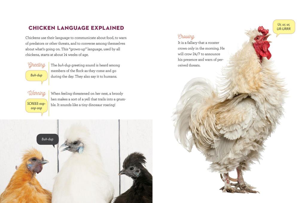 Weitere Ansicht: How to Speak Chicken | Melissa Caughey