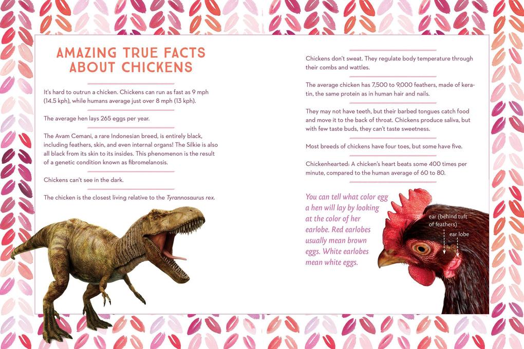 Weitere Ansicht: How to Speak Chicken | Melissa Caughey