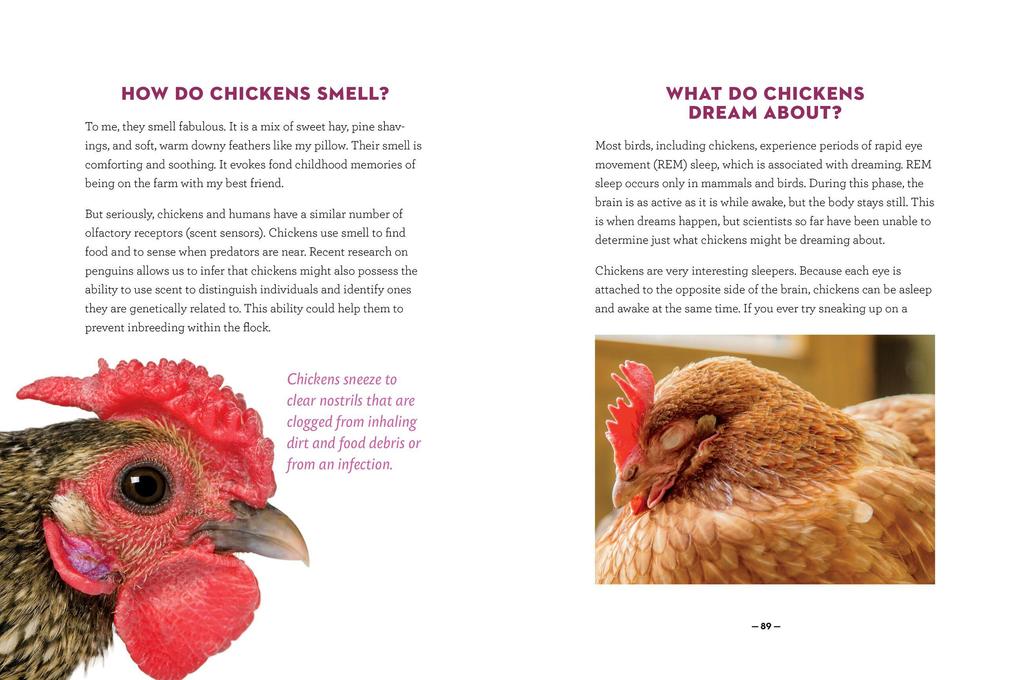 Weitere Ansicht: How to Speak Chicken | Melissa Caughey