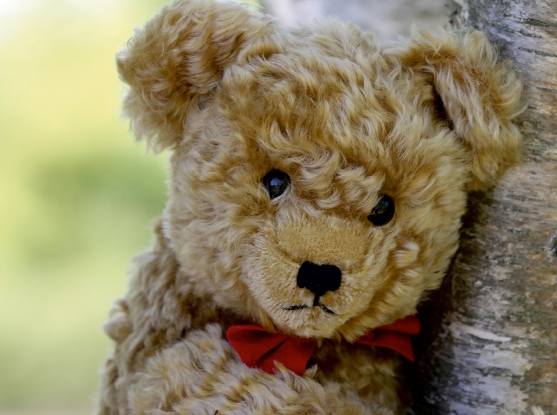 Weitere Ansicht: Teddy (Puzzle) | k.A. SchnelleWelten, SchnelleWelten