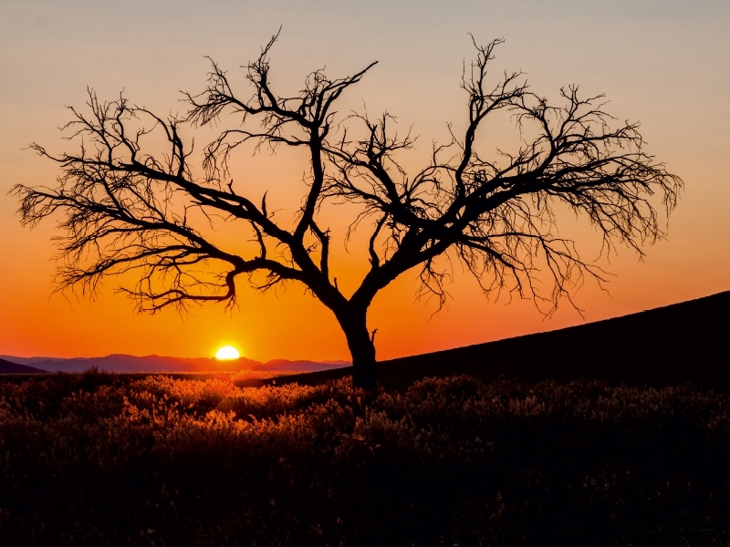 Weitere Ansicht: NAMIBIA - SOSSUSVLEI (Puzzle) | Frank Schröder