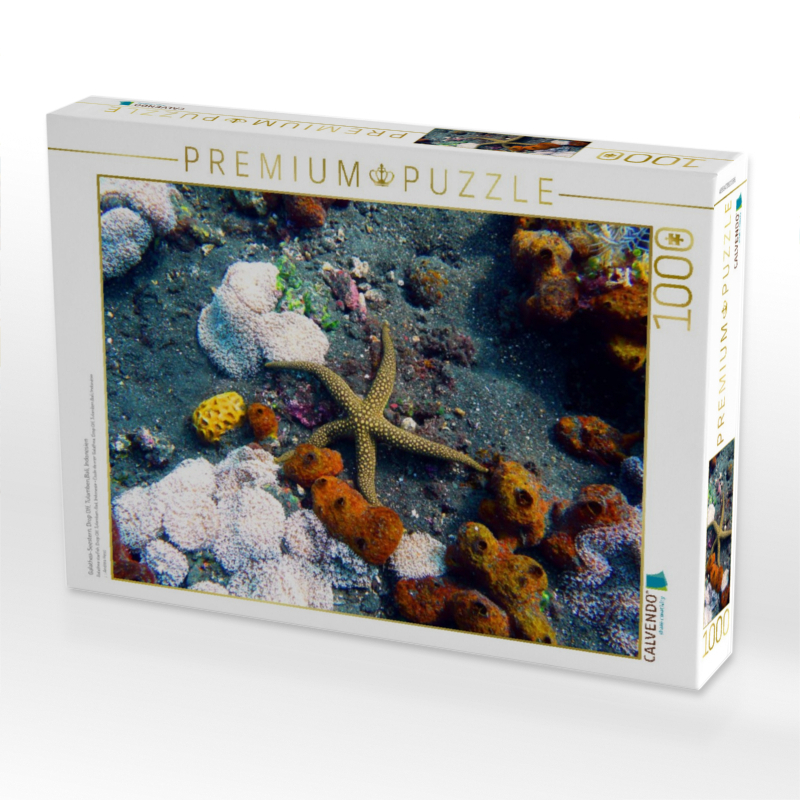 Weitere Ansicht: CALVENDO Puzzle Galathea-Seestern, Drop Off, Tulamben,Bali, Indonesien | 1000 Teile Lege-Größe 64x48cm Foto-Puzzle für glückliche Stunden | Calvendo