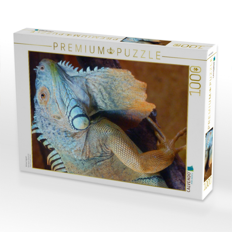 Weitere Ansicht: CALVENDO Puzzle Grüner Leguan | 1000 Teile Lege-Größe 64x48cm Foto-Puzzle für glückliche Stunden | Elisabeth Stanzer, Calvendo