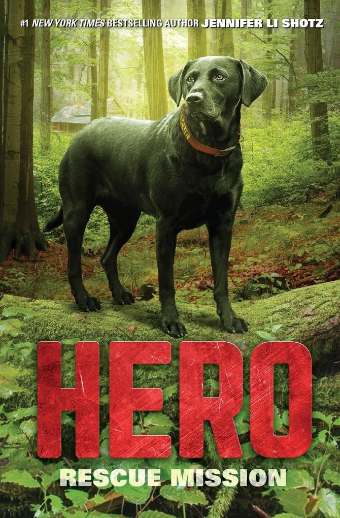 Produktbild: Hero | Jennifer Li Shotz