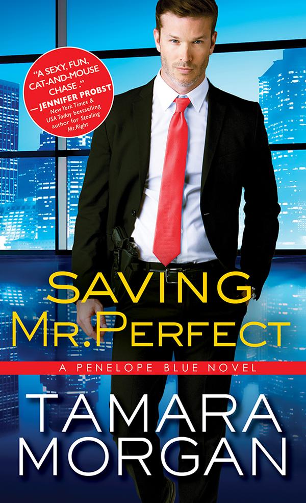 Produktbild: Saving Mr. Perfect | Tamara Morgan